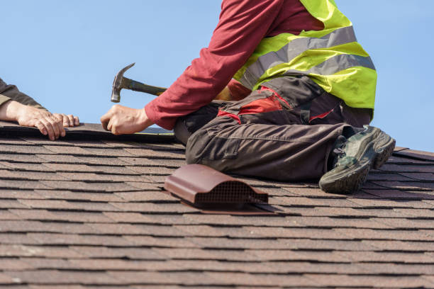 Best Gutter Installation and Roofing  in Alexander, AR