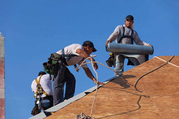 Roof Gutter Cleaning in Alexander, AR