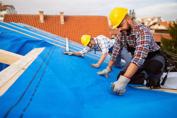 Best Storm Damage Roof Repair  in Alexander, AR