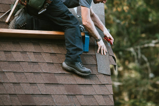 Best Roof Maintenance Services  in Alexander, AR